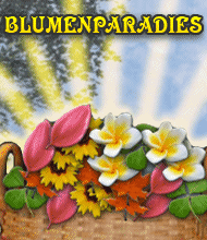 Jetzt das 3-Gewinnt-Spiel Blumenparadies kostenlos herunterladen! 3-Gewinnt-Spiel: Blumenparadies