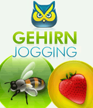 Logik-Spiel: Gehirnjogging