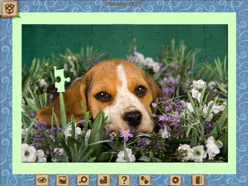 1001-puzzles-home-sweet-home-zurueck-aus-dem-urlaub - Screenshot No. 2