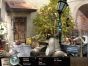 Nu Hidden object-spelet Insider Tales: Vanished in Rome gratis!