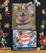 Logik-Spiel: 1001 Puzzles: Welttour Japan