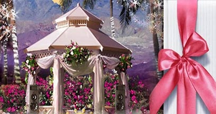 Dream Day Wedding: Viva Las Vegas