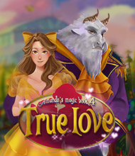 3-Gewinnt-Spiel: Amanda's Magic Book 4: True Love