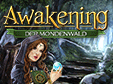 Wimmelbild-Spiel: Awakening: Der MondenwaldAwakening: Moonfell Wood