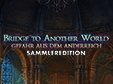 Wimmelbild-Spiel: Bridge to Another World: Gefahr aus dem Anderreich SammlereditionBridge to Another World: The Others Collector's Edition