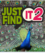 Wimmelbild-Spiel: Just Find It 2