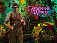 Wimmelbild-Spiel: Labyrinths of the World: Ein gefhrliches SpielLabyrinths of the World: A Dangerous Game
