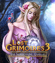 Wimmelbild-Spiel: Lost Grimoires 3: Die vergessene Quelle