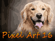 Lade dir Pixel Art 16 kostenlos herunter!