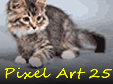 pixel-art-25