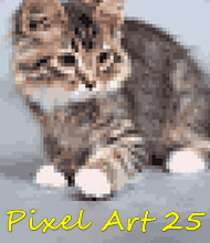 Logik-Spiel: Pixel Art 25