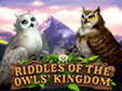 Logik-Spiel: Riddles of the Owls' KingdomRiddles of the Owls' Kingdom