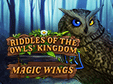 Lade dir Riddles of the Owls' Kingdom: Magic Wings kostenlos herunter!