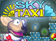 Sky Taxi