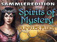 Wimmelbild-Spiel: Spirits of Mystery: Dunkler Fluch SammlereditionSpirits of Mystery: Amber Maiden Collector's Edition