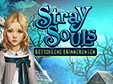 Stray Souls: Gestohlene Erinnerungen