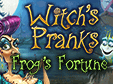 Lade dir Witch's Pranks: Frog's Fortune kostenlos herunter!