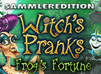 Jetzt das Wimmelbild-Spiel Witch's Pranks: Frog's Fortune Sammleredition kostenlos herunterladen und spielen!! Wimmelbild-Spiel: Witch's Pranks: Frog's Fortune Sammleredition