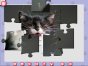 Logik-Spiel: 1001 Puzzles: Niedliche Katzen 4