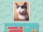 Logik-Spiel: 1001 Puzzles: Niedliche Katzen